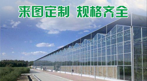 千宏溫室工程 圖 蔬菜溫室大棚廠家 蔬菜溫室大棚